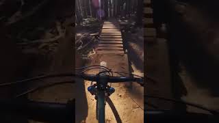 Hardtail vs DH Track