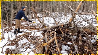 Cleaning Trails And Fixing An Electric Chainsaw