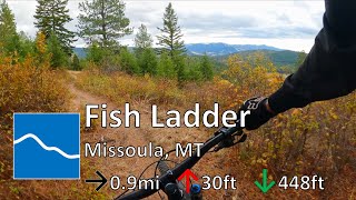 Fish Ladder - The Rattlesnake - Missoula, MT