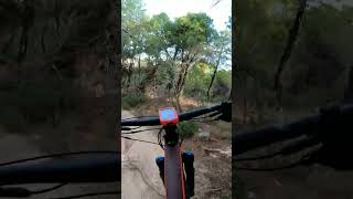 Cuando el árbol te agarra ‍♂️ #mtb...