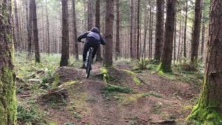 Vashon Island - Dockton Park - Bumpy Monkey