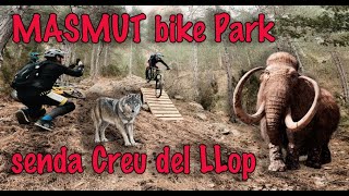Creu del Llop