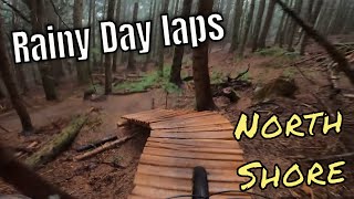 RAINY DAY CYPRESS LAPS