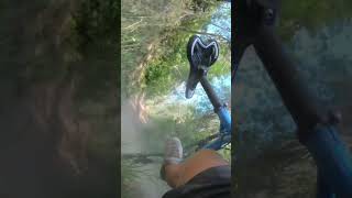 That Tree Came Out Of Nowhere