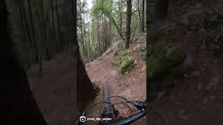 A little raw POV on Cypress
