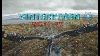 SINGLETRACK -  VINTERVEGEN | HADSEL MTB