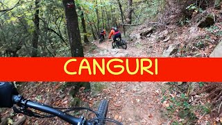 MTB Monte Javello 12.11.2022 sentiero CITTA'...