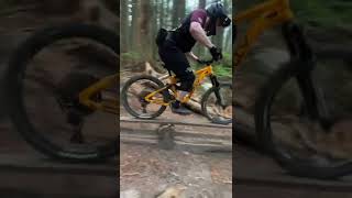 A TRIPLE teeter-totter