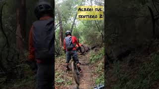 Alberi sul sentiero n.2