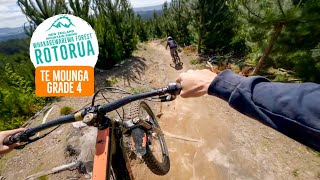 The Inside Line on Te Mounga, Rotorua