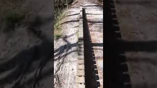 Riding a skinny. SKINNY!! #mountainbike #bike...
