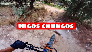 HiGOS CHUNGOS - ST. COLOMA DE GRAMANET -...