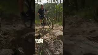 TAIPAN DROP, NERANG #shorts