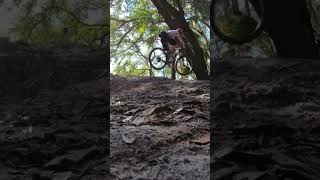 Wall Ride and Epic Jump Session!