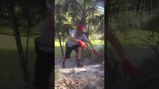 Crash into Gator Pit at Alafia river!!!???