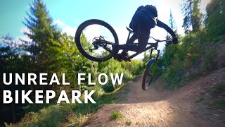 Blue Trail?! Can't believe it! Some of the...