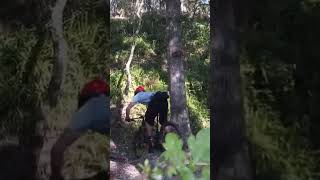 Mountain Biking Steep Terrain