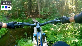 THIS is a Mountain Biker's trail!