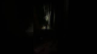 Night Ride On Seymour