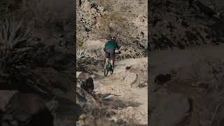 Slo Mo Hardtail Fun #shorts