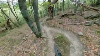 Masseto - Rincine Trail Area