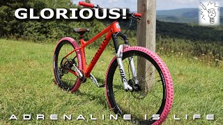 My Hardtail Dream Build is the Ultimate...