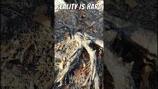 MTB Reality  VS Gopro 