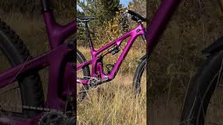 Which Yeti Would You Ride?