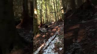A LITTLE NORTH SHORE EDIT