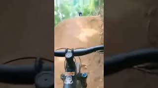 Hit a tree #shorts #crash #mtb #mountainbike...