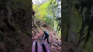 Would you ride something this steep?? Almost...