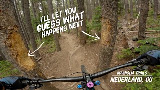 Punching Trees in Nederland