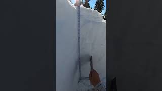 Identify the snow layers first!  #shorts