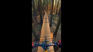 The World's Longest Log Ride?