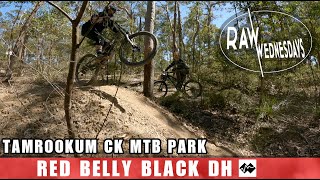 RED BELLY BLACK DH | TAMROOKUM CK MTB PARK |...