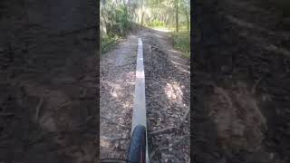 I almost didn’t make it…