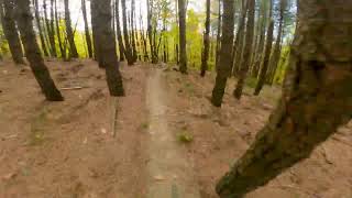 Motta - Rincine Trail Area