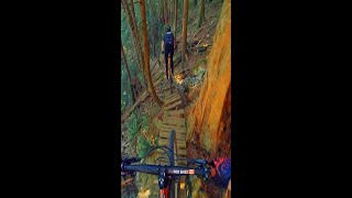 Avoid the Cliff ☠️