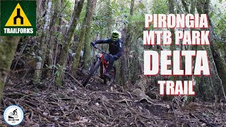 Pirongia MTB park-Delta trail.