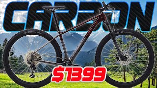 CARBON ON A BUDGET / Is This my Dream XC Bike?...