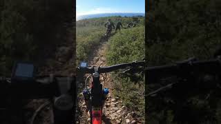 Mejean/Freewheel