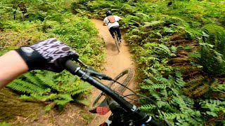 Follow Cam on Best Trail at Vedder