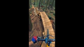 All New Trails Should Be This Good