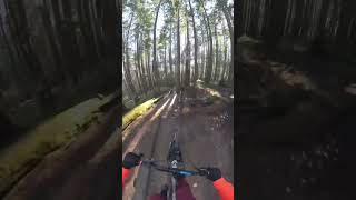 First Ride on Mixed Wheels