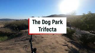 The Dog Park Trifecta