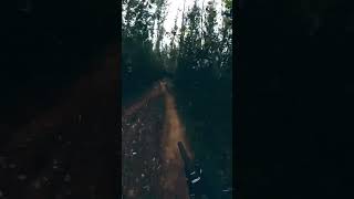 Epic Downhill in Ecuador!
