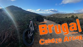 ‍♀️ ⚡️ Brugal   | Bustarviejo...
