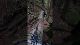 Some North Shore Gnar