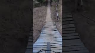 Crazy wooden feature