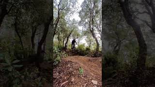  A saltar !  - Everyone jump !  #downhill #mtb...